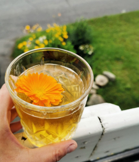Le tepache une boisson faible en alcool  encore m&eacute;connue!